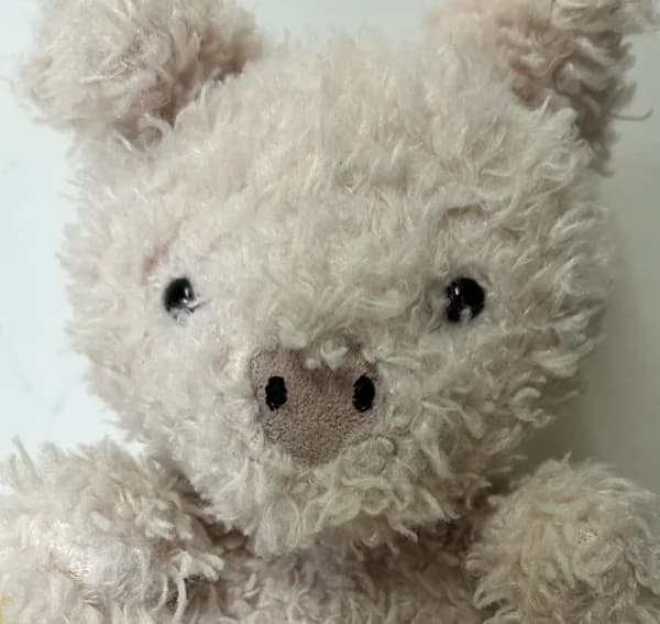 Pig plush logo